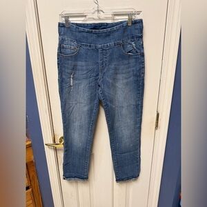 High Rise Slim Ankle JAG Jeans Blue Distressed Size 12